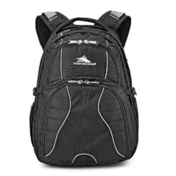 High Sierra Swerve Backpack